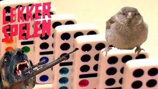 Lekker Spelen - Domino Day Mus