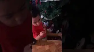 Logan guardando las piezas del arbolisto 