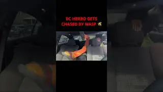 😡😡 HE BANNED FROM MY CRIB!