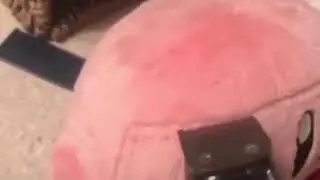 Kirby getting a haircut