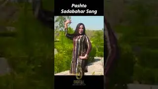 Yao Me Zwani Trena Qurban Sha | Kishwar Sultan