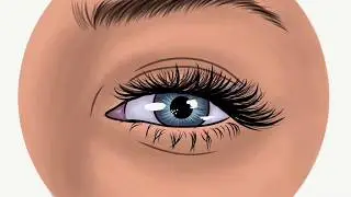 Eye Tutorial ( Adobe draw)