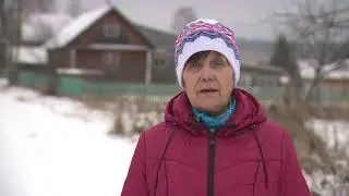 МАМА про деревья