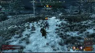 New World VG's [Nullifying Oblivion] perk bug