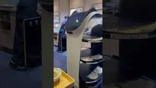 Robot Cat Waiter in Japan 🤖🐱🇯🇵