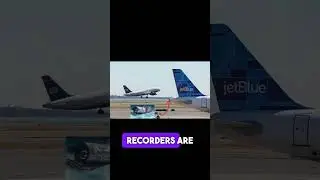 🌈 Unveiling the "Black Box" Mystery: Why It's NOT Black! ✈️🔍#shorts