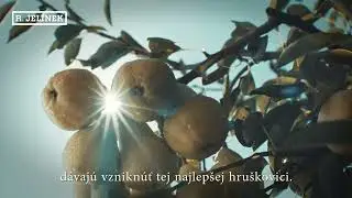 R. JELÍNEK Hruškovica Williams kosher