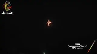 Римская свеча Кактус А5030