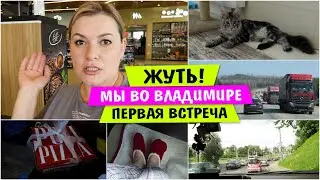 Жуть / Мы во ВЛАДИМИРЕ / Первая ВСТРЕЧА / Мейн Кун / Vika Siberia LifeVlog