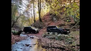 Toyota Land Cruiser J200 V8 & Jeep Cherokee XJ - Forest Offroad Driving