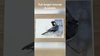 Black cockatoo full length tutorial available now. #art #everydaywatercolor #watercolourist