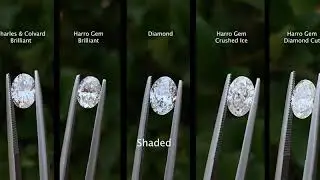 Oval Diamond vs Moissanite