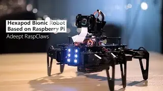Hexapod bionic robot based on Raspberry Pi