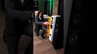 Акустика за 600К, 800К или за 1 МЛН?! Davis Acoustics Courbet - прямиком из Франции