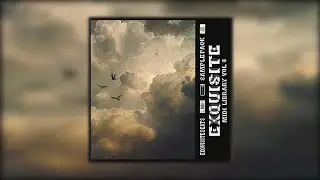 [15+] "Exquisite Midi Library Vol 3" Midi Pack (Pvlace, Pyrex, Southside, Cubeatz Type Melodies)