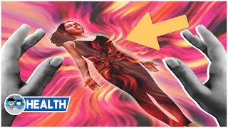 HOLISTIC HEALING THERAPIES: Naturopathy or Traditional Chinese Medicine?