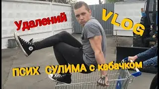 [УДАЛЕННЫЙ VLOG]: ПСИХ СУЛИМА с кабачком! | Андрей Мартыненко