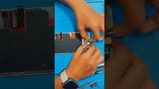 iPhone 8 Plus Display Replacement. #lady #mobilerepairing #Mobics