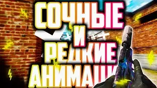 РЕДКИЕ СОЧНЫЕ АНИМАЦИИ | STANDOFF 2