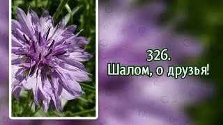Гимны надежды 326 Шалом, о друзья! (-)