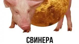 Как похудеть на самоизоляции?!!!