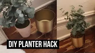 DIY Planter Hack ft. Target Eucalyptus Plant