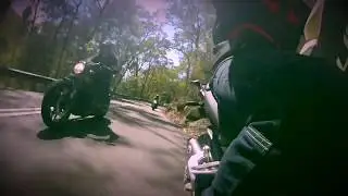 Ducati and Harley Mix It Up on Sydney's Twisties