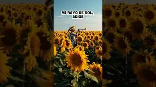4 días. Compositor irahijulian@gmail.com 