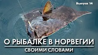 Рыбалка в Норвегии. Ловля на мертвую рыбку