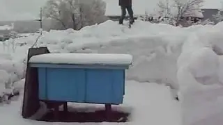 Объединение пчёл зимой