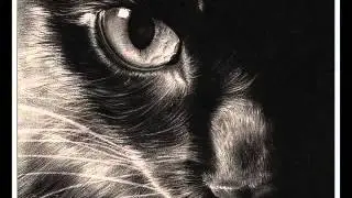 Музыкальный Черный Кот
