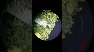 🔥 «НОВЫЙ БИТ ГОТОВ!» 🔥  🎧 Жми ▶️ 