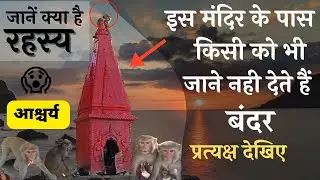 अयोध्या का रहस्यमय मन्दिर🚩इस मंदिर की सुरक्षा बंदर करते हैं, किसीको भी नहीं जाने देते हैं।खुद देखिए😱