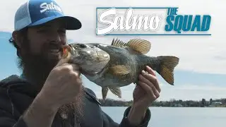 ***NEW*** Salmo USA - The Squad Explained