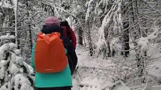 VID 20191109 124636