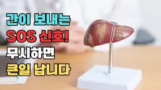 침묵의 장기, 간의 위험 신호를 놓치지 마세요