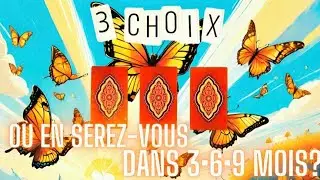 Où en serez vous dans 3/6/9 MOIS ?🦋🌱☀️Tirage intemporel à 3 CHOIX