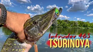 Little BIG FISH killer!!! Wobbler Review - Tsurinoya Intruder 46S