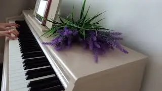 Sound of Silence | Simon & Garfunkel #soundofsilence #pianocover #piano