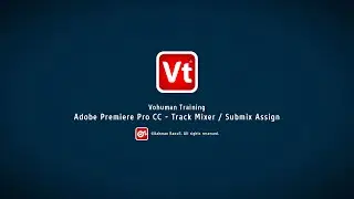 Adobe Premiere Pro CC - Track Mixer / Submix Assign