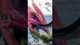 Ptérodaustro - Un jour, Un dino