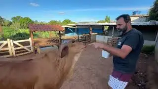 CUIDANDO DOS ANIMAIS NA FAZENDINHA.