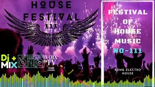 Festival Electro House Remixes No 112  | Party CLUB Dance 2020