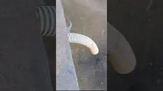 Как я сделал насос 