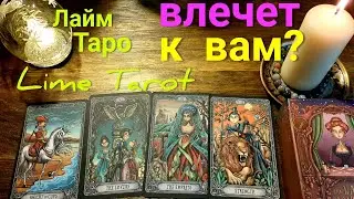 ЛАЙМ ТАРО Lime tarot ВЛЕЧЕТ ЛИ ЕГО К ВАМ? Таро прогноз гадание онлайн @Таропрогнозонлайн