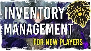 Guild Wars 2 - Inventory Management for New Players