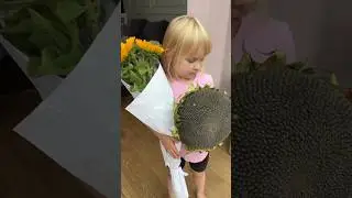Здесь грызть перегрызть 🌻😂