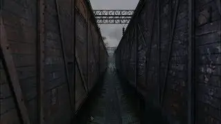 Stalker Online/Stay Out/Steam: Вечный путь
