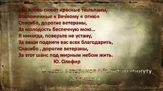 Праздник победы 9 мая! г. Каракол Мирбекова Арууке