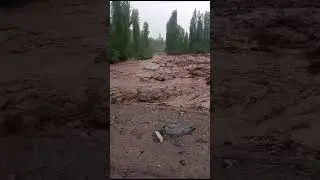 Борони сахт дар санаи 18 05 2024 мости Бобои Валиро бурд